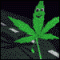 NJKUSH's Avatar