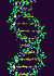 ToroToker's Avatar